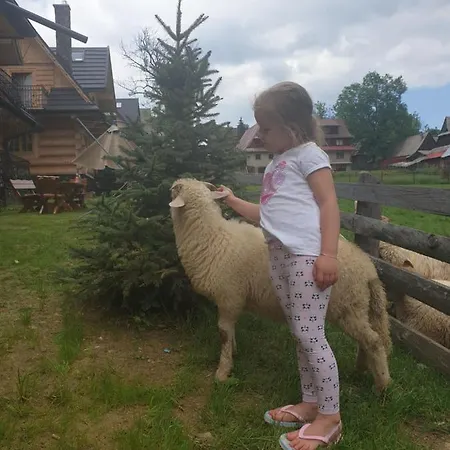 Luksusowe Elizy Luxury Poronin Chalet *