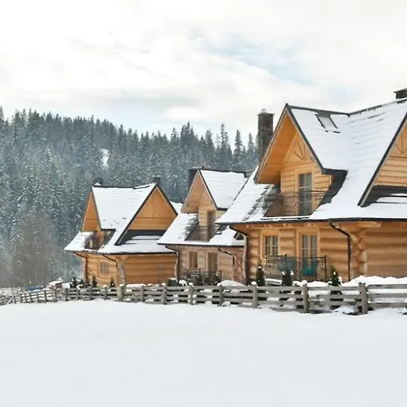 Luksusowe Elizy Luxury Poronin Chalet